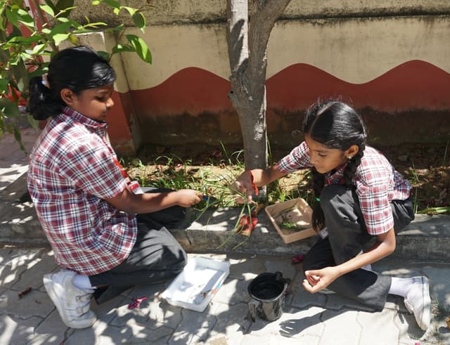 Montessori Curriculum and Materials